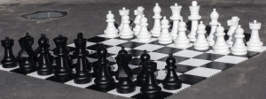 гиганские шахматы 2.jpg